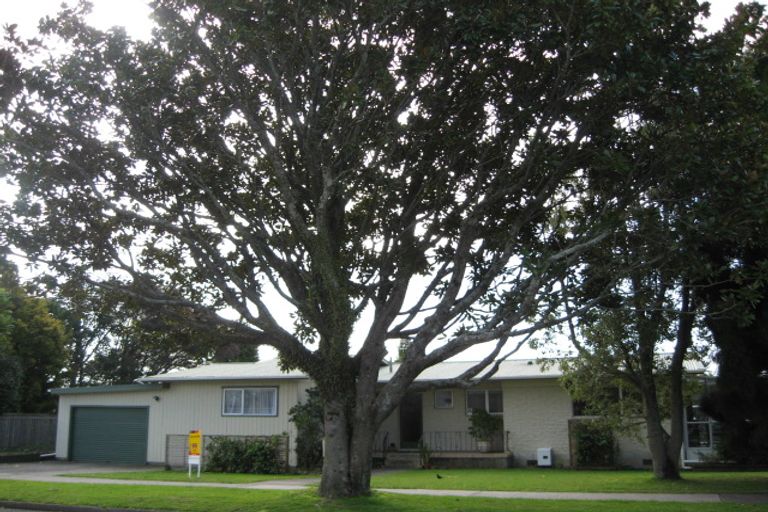 Photo of property in 30 Henderson Street, Whakatane, 3120