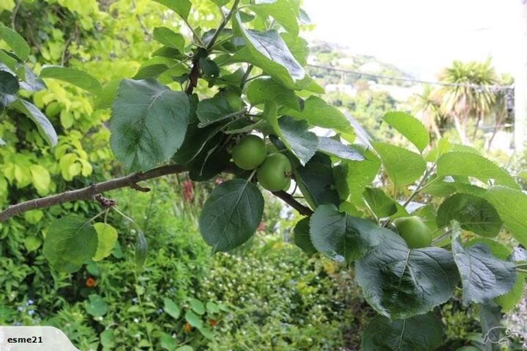 Photo of property in 5 Thorby Street, Northland, Wellington, 6012