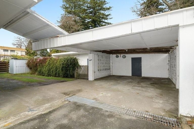 Photo of property in 40 Harrier Street, Parkvale, Tauranga, 3112