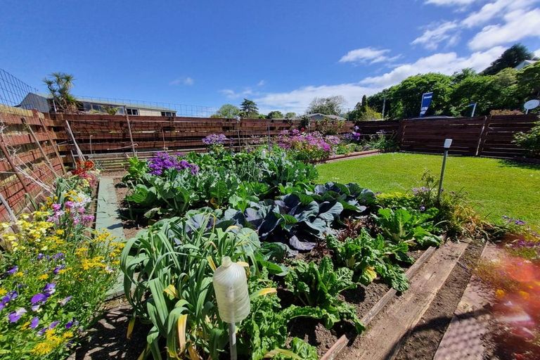 Photo of property in 401 Parawai Road, Thames, 3500