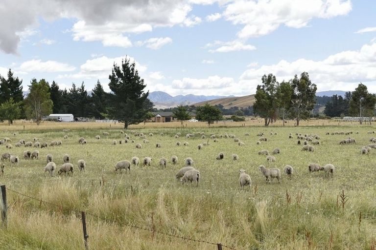 Photo of property in 135 Bentleys Road, Hawarden, 7385