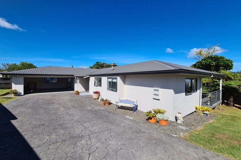 Photo of property in 20 Pagitt Street, Coromandel, 3506