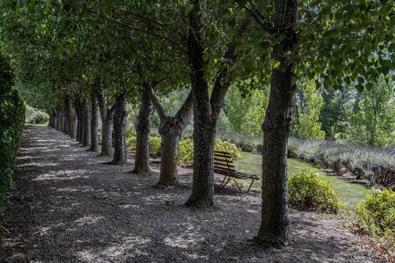 Photo of property in 41 Vineyard Lane, Waipara, Amberley, 7483