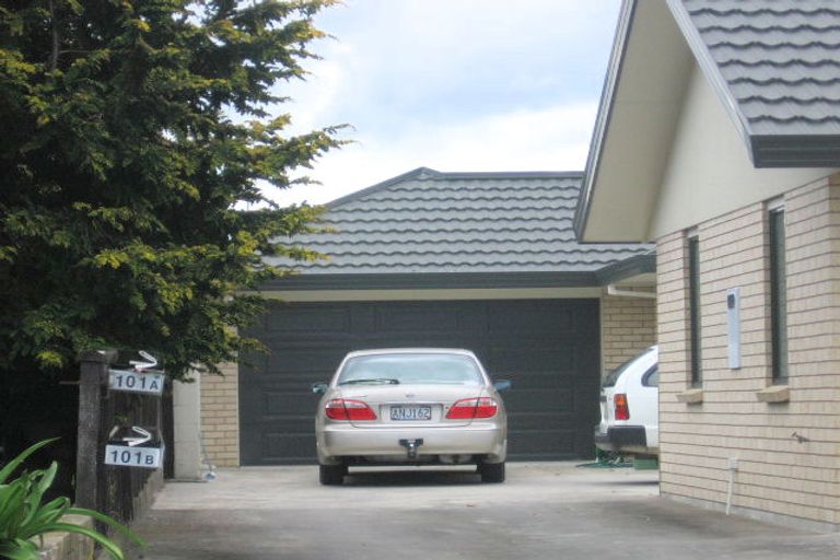 Photo of property in 101b Greerton Road, Gate Pa, Tauranga, 3112