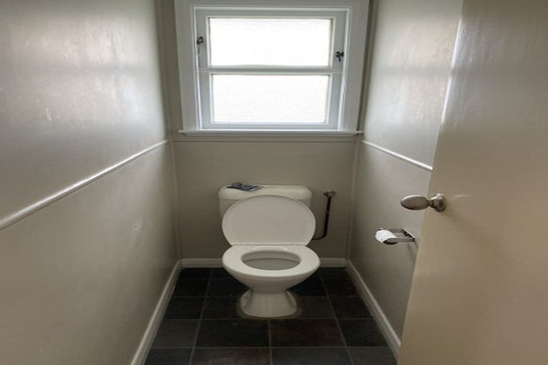 Photo of property in 29 Douglas Crescent, Fairfield, Hamilton, 3214