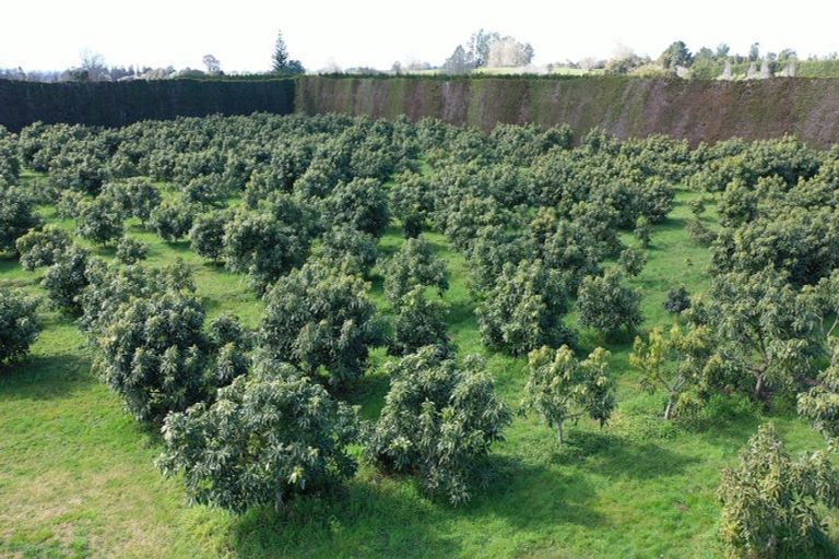 Photo of property in 328 Maungarangi Road, Paengaroa, Te Puke, 3189