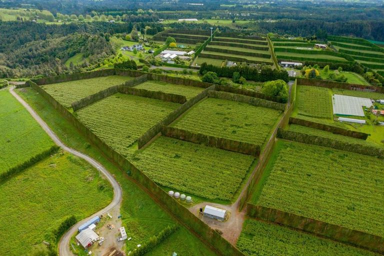 Photo of property in 837b Pyes Pa Road, Pyes Pa, Tauranga, 3173