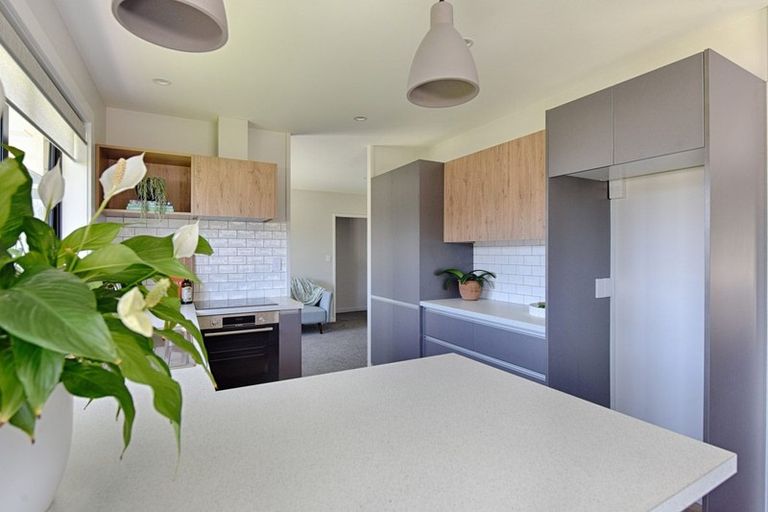 Photo of property in 1/12 Canning Street, Gore, 9710