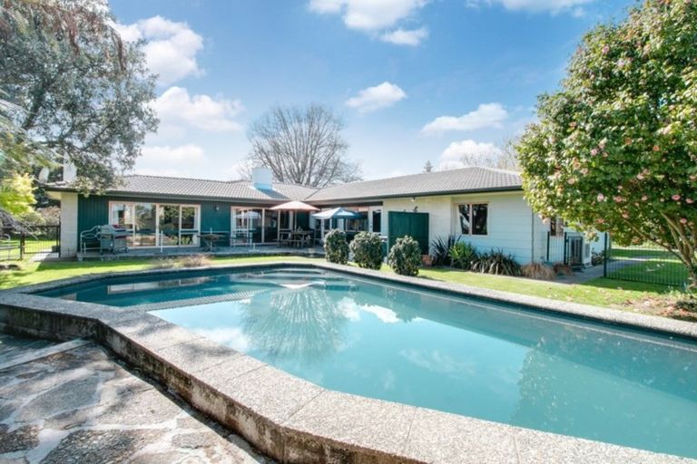 Photo of property in 77 Algernon Road, Longlands, Hastings, 4172