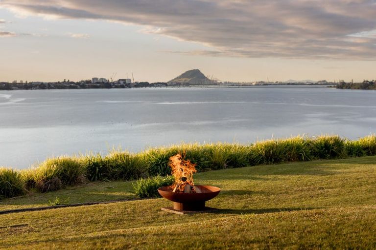 Photo of property in 15 Mersea Place, Maungatapu, Tauranga, 3112