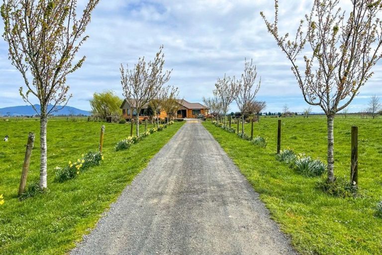 Photo of property in 599 Wallace Road, Ohaupo, Cambridge, 3495