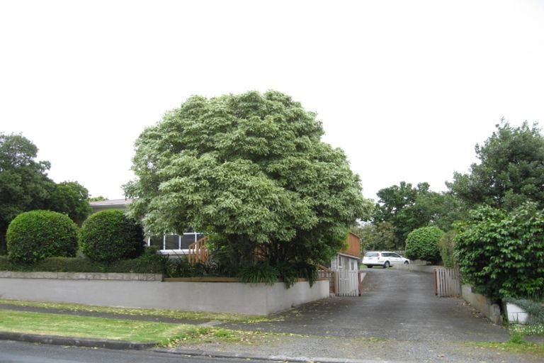 Photo of property in 121 Wellington Street, Pukekohe, 2120