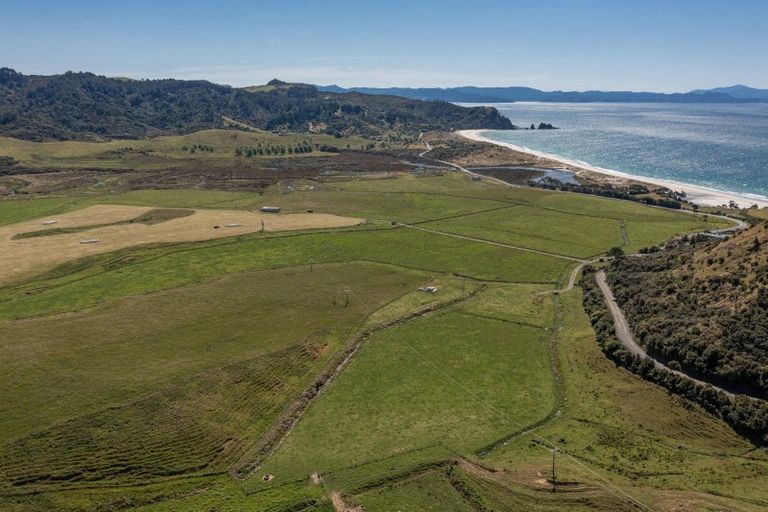 Photo of property in 550 Black Jack Road, Opito Bay, Whitianga, 3592