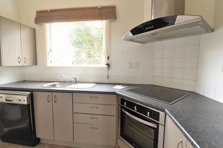 Photo of property in 78 Carson Street, Maryhill, Dunedin, 9011