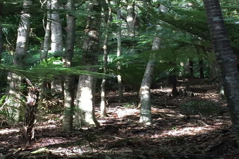 Photo of property in 16 Waikarekare Lane, Karekare, Auckland, 0772