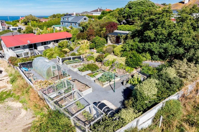 Photo of property in 151 Tomahawk Road, Andersons Bay, Dunedin, 9013