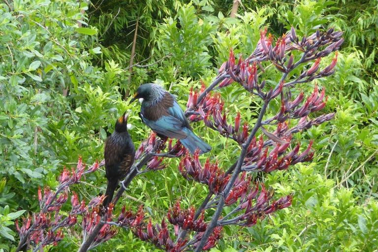 Photo of property in 983 Hamurana Road, Hamurana, Rotorua, 3097