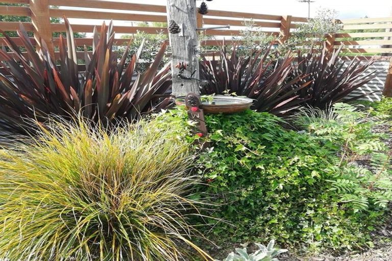 Photo of property in 4 Chaucer Street, Milton, 9220