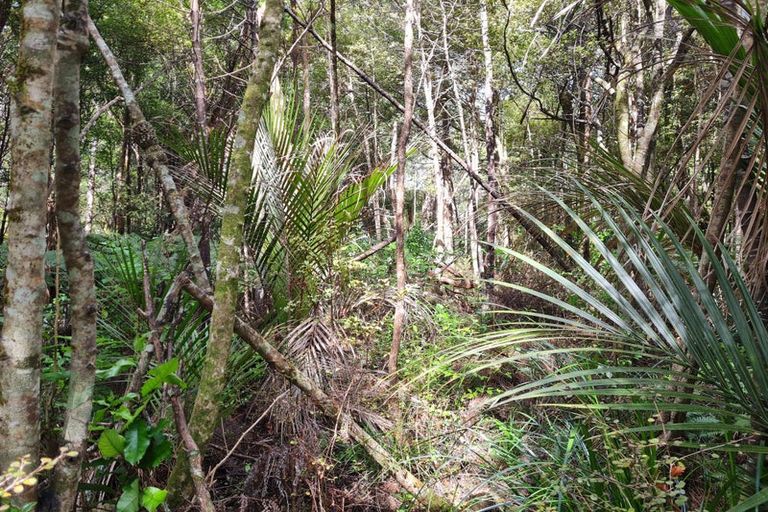 Photo of property in 92 Pinchgut Road, Kaukapakapa, 0873