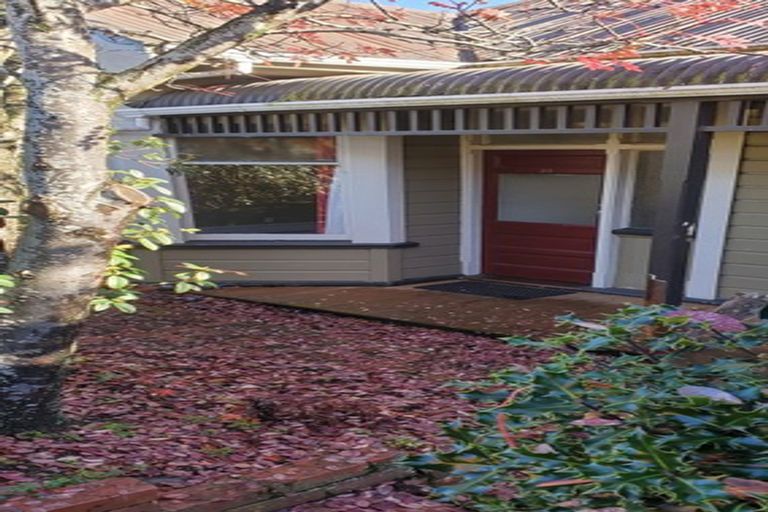 Photo of property in 33 Wales Street, Maori Hill, Dunedin, 9010