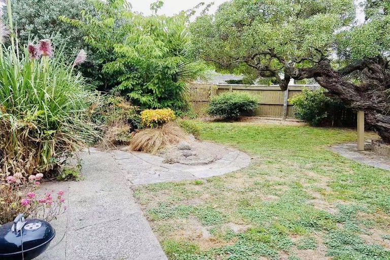 Photo of property in 151 Kings Crescent, Hutt Central, Lower Hutt, 5010