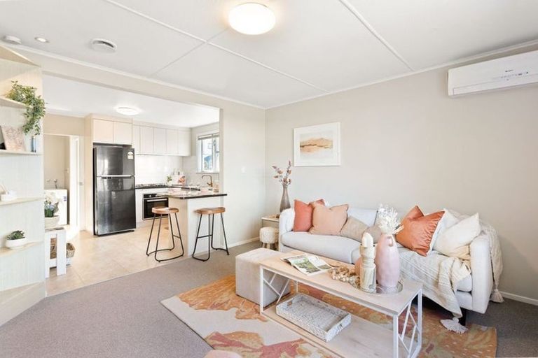 Photo of property in 59 Avondale Road, Avondale, Auckland, 1026