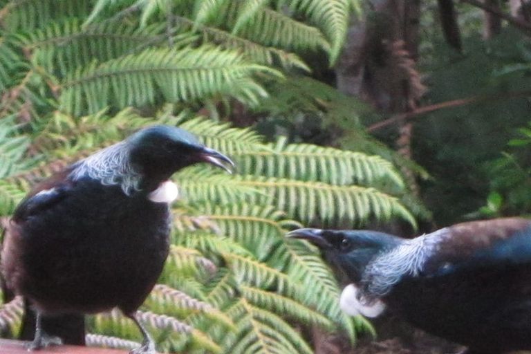 Photo of property in 19 Arabella Road, Opua, 0200