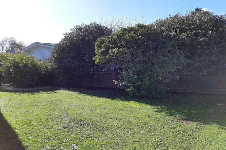 Photo of property in 50 Celia Street, Stratford, 4332