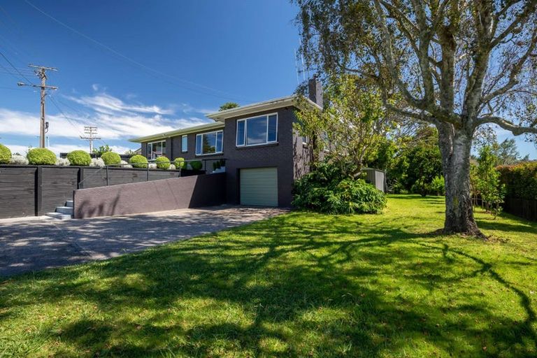 Photo of property in 47 Esk Street, Parkvale, Tauranga, 3112