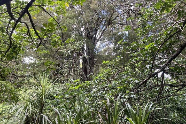 Photo of property in 568 Brown Road, Mangawhai, Kaiwaka, 0573