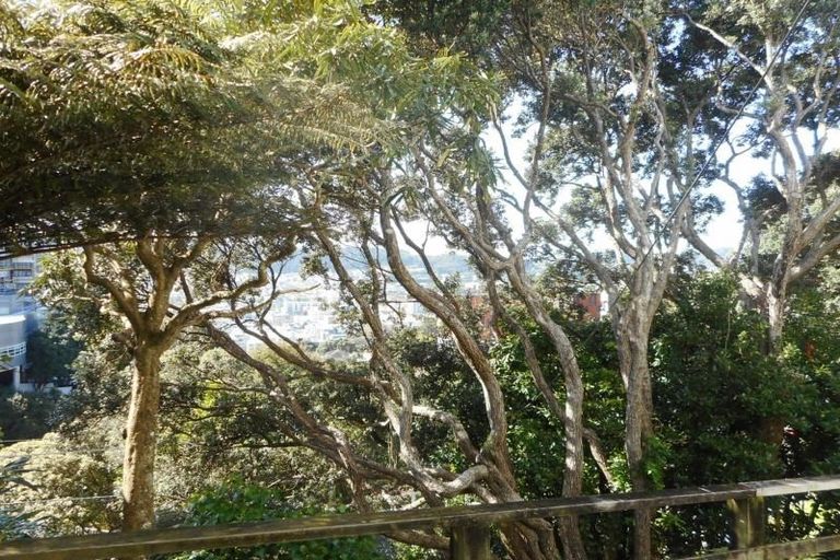 Photo of property in 82 Kelburn Parade, Kelburn, Wellington, 6012