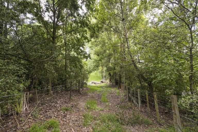 Photo of property in 136 Pohangina Valley Road East, Ashhurst, 4884