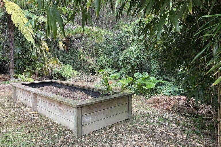 Photo of property in 17 Petticoat Lane, Shannon, 4474