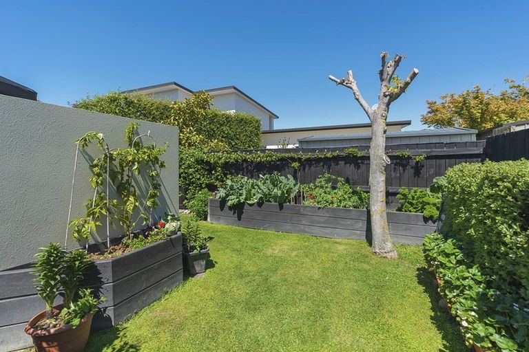 Photo of property in 3 Stamford Lane, Springlands, Blenheim, 7201