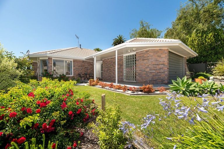 Photo of property in 62a Oxford Street, Tawa, Wellington, 5028