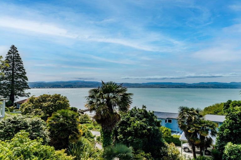 Photo of property in 32 Seapoint Road, Bluff Hill, Napier, 4110