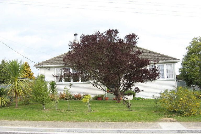 Photo of property in 21 Freyberg Terrace, Waipukurau, 4200