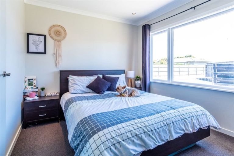 Photo of property in 715 Duke Street, Mahora, Hastings, 4120