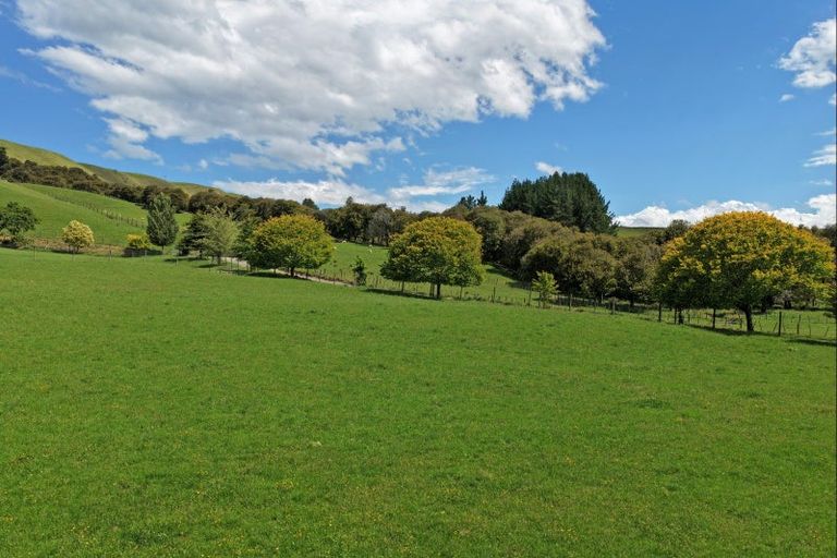 Photo of property in 455 Anaroa Road, Raukawa, Hastings, 4174