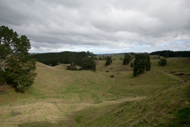 Photo of property in 145 Palmer Mill Road, Wairakei, Taupo, 3384