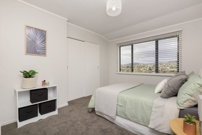 Photo of property in 78 Hammond Street, Hairini, Tauranga, 3112