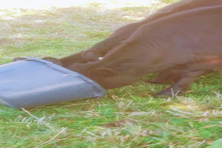 Photo of property in 150 Wirihana Road, Hawera, 4674