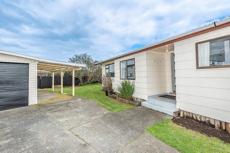 Photo of property in 42 Wembley Place, Whanganui East, Whanganui, 4500