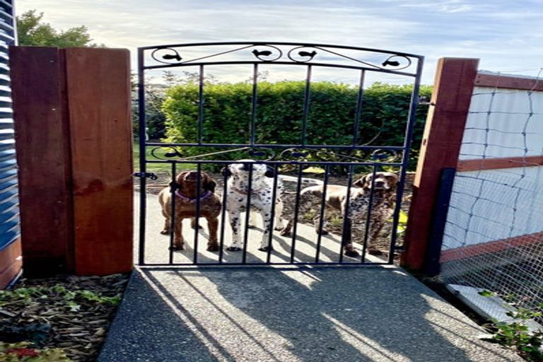 Photo of property in 29 Brook Street, Southbridge, 7602