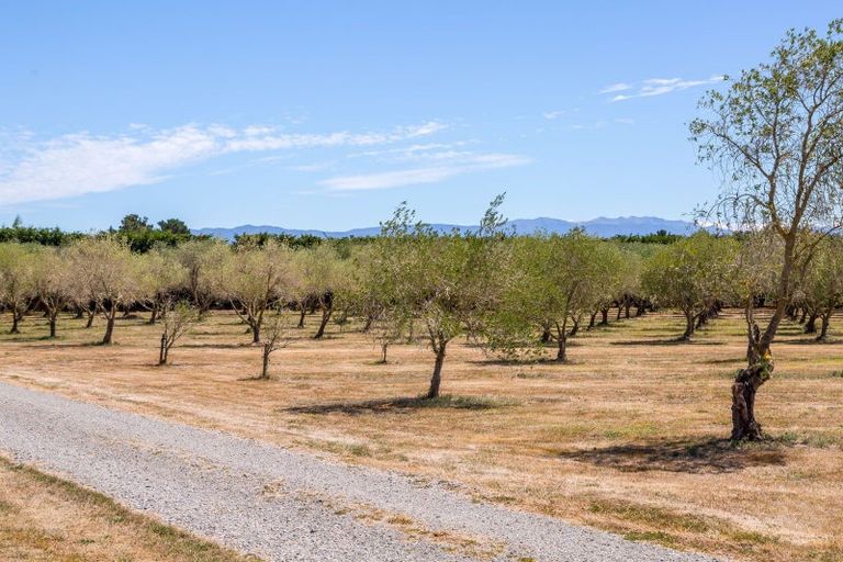 Photo of property in 399a Lake Ferry Road, Dyerville, Martinborough, 5781