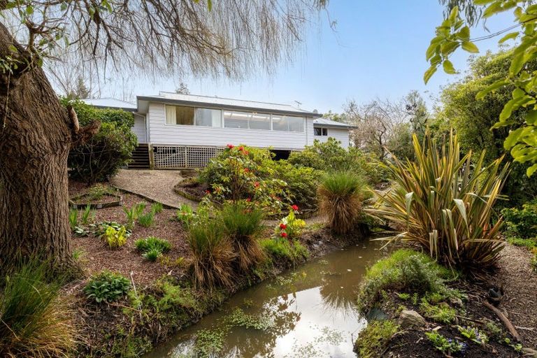 Photo of property in 45a Mcfadden Drive, Mosgiel, 9024