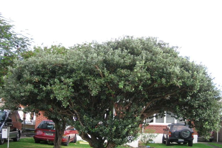 Photo of property in 14a Fairleigh Avenue, Mount Albert, Auckland, 1025