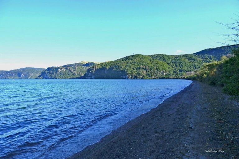 Photo of property in 16 Olsen Place, Kinloch, 3385