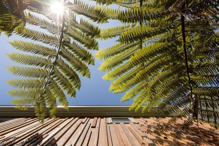 Photo of property in 25 Grove Avenue, Mount Maunganui, 3116