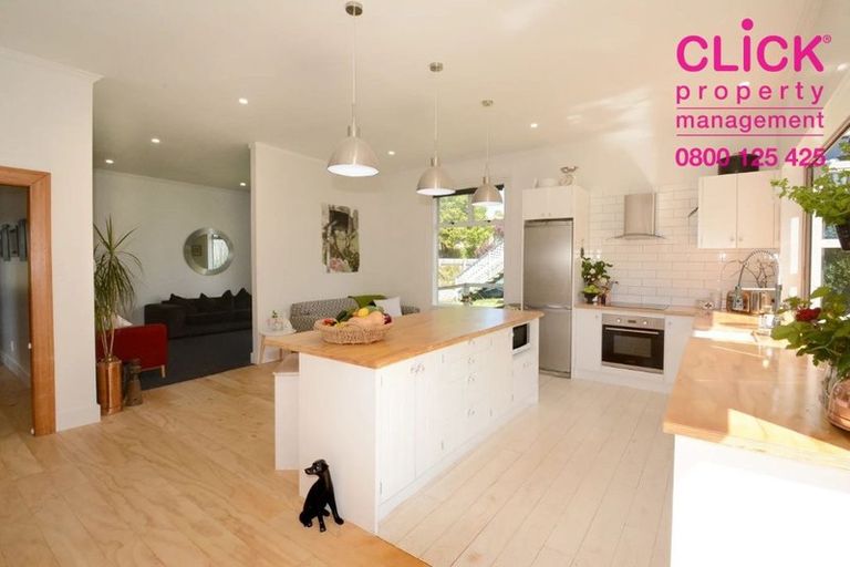 Photo of property in 7 Ventnor Street, Mornington, Dunedin, 9011